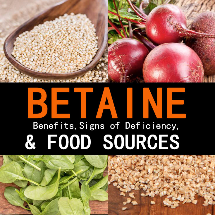 Betaine, Betaine Anhydrous, Glycine Betaine Powder