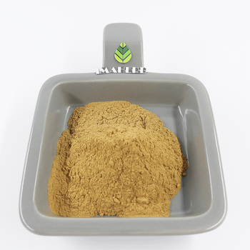 dr. allan spreen mushroom extract dr. allan spreen mushroom extract