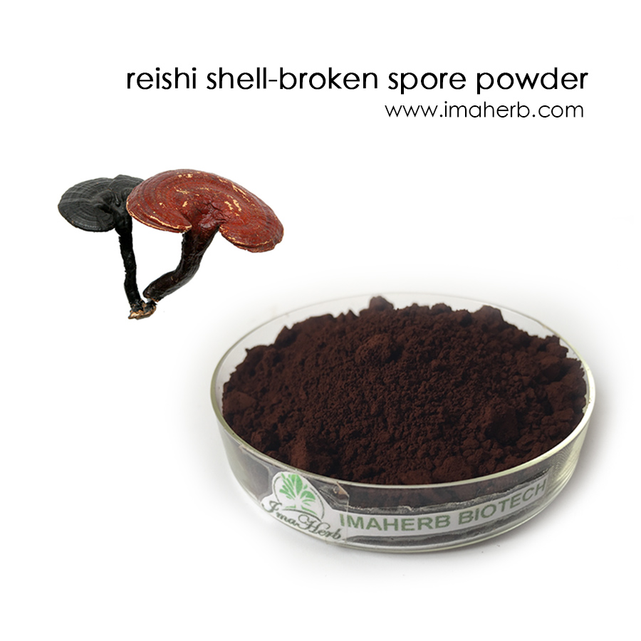 Ganoderma lucidum (Reishi) muschel gebrochen Sporen, Ganoderma lucidum (Reishi) Shell-gebrochen-Sporenöl, Ganoderma lucidum (Reishi) Shell-gebrochen-Sporen�Ganoderma lucidumerReishiidum (Reishi) muschel gebrochen Sporenpulver Kapsel