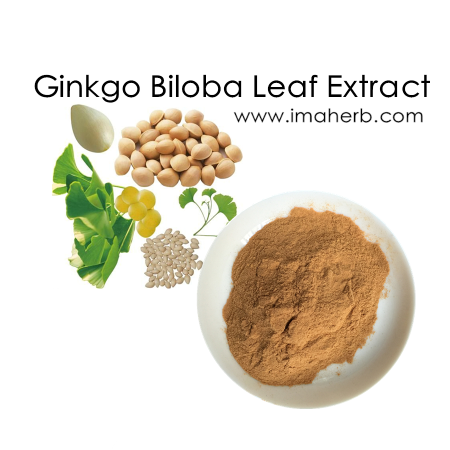 Polvo de extracto de Ginkgo Biloba-CAS 90045-36-6