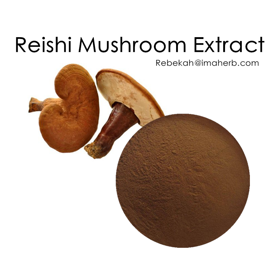 Extrait de Champignons Reishi Bio 10%-50% polysaccharides et 1%-3% Extrait double triterpénoïde