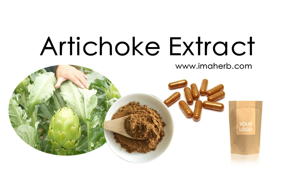 IMAHERB OEM Organic Herb Extract Artichoke Extract 5% Cynarin Globe Artichoke Leaf Extract Powder