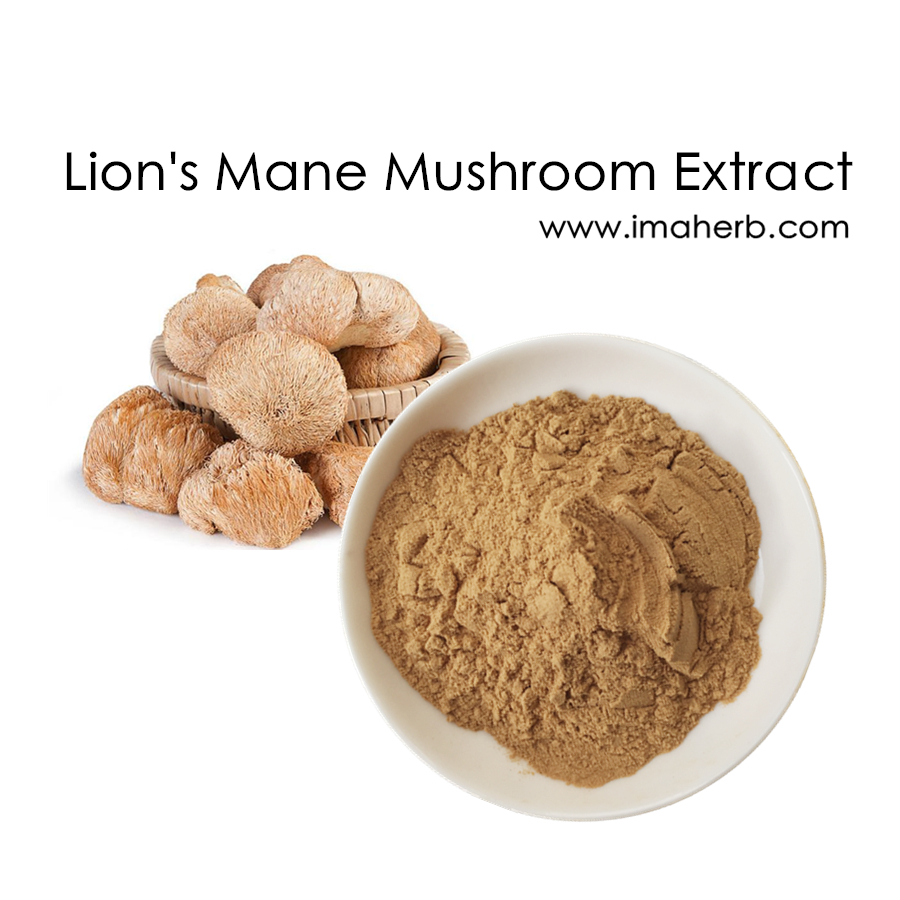 Organic Lion’s Mane Mushroom Extract 10%-50% Polysaccharides 15%-30% Beta-Glucans 