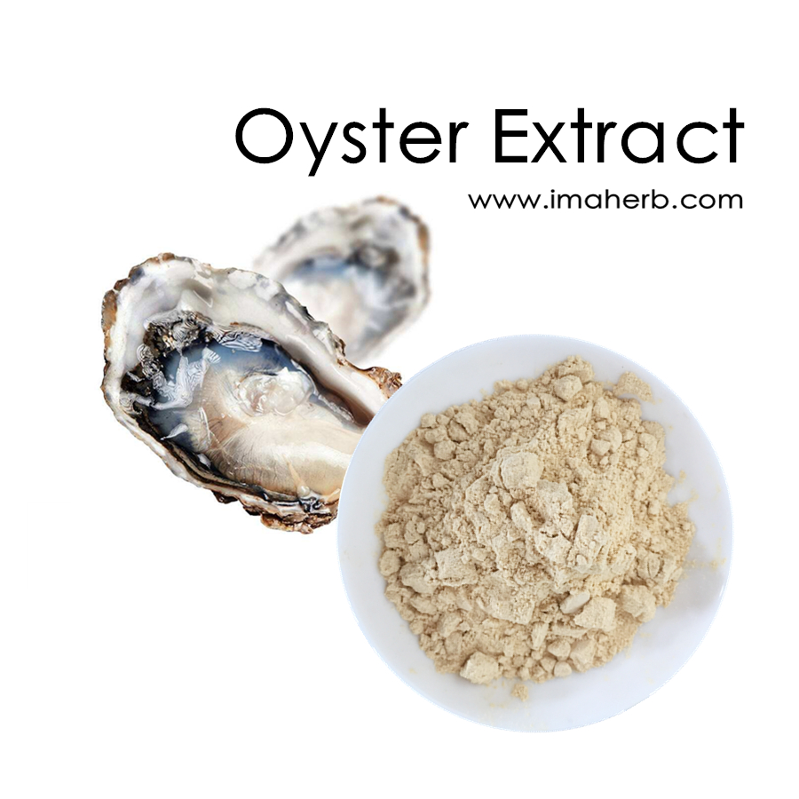 IMAHERB SuppTop Quality Oyster Extract Powder Oyster Peptide For Sale