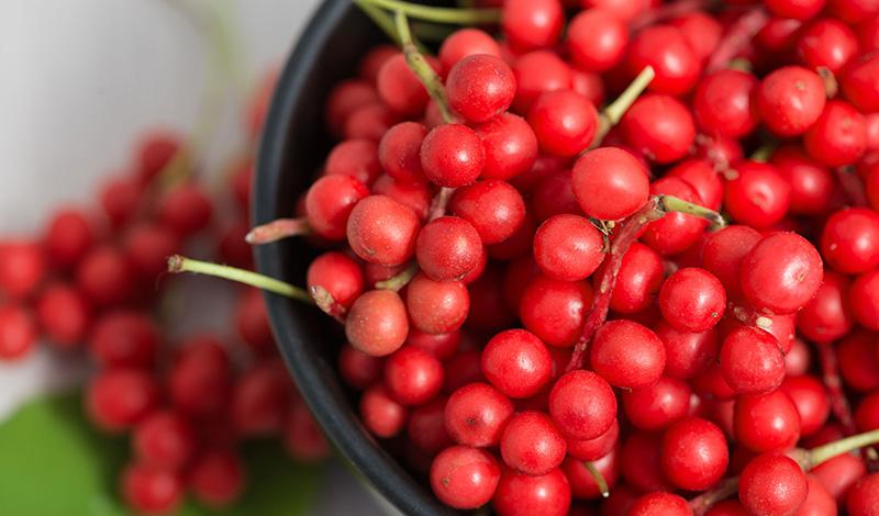 Schisandra Berry poudre