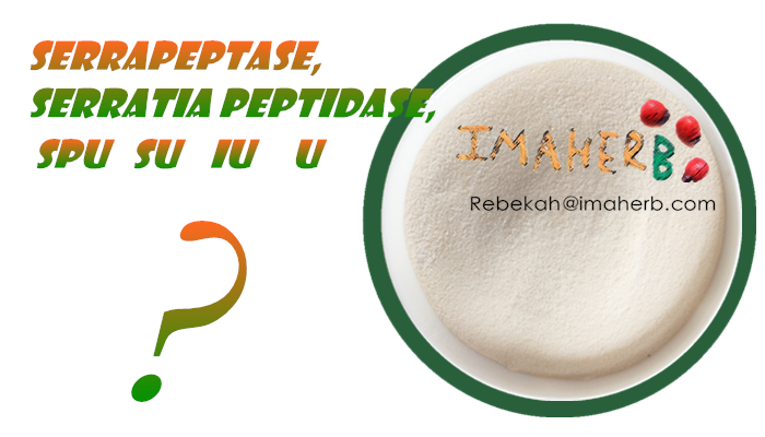 Qu'est-ce que Serratia peptidase, ou serrapeptase? acticity enzyme?SPU et SU U UI et?