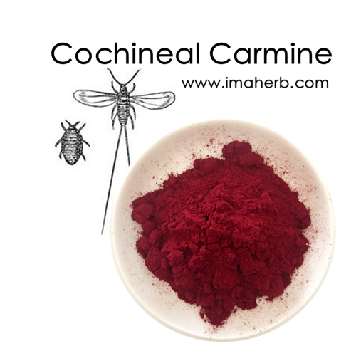 100% Natural Plant Colour Extract E120 cochineal carmine powder