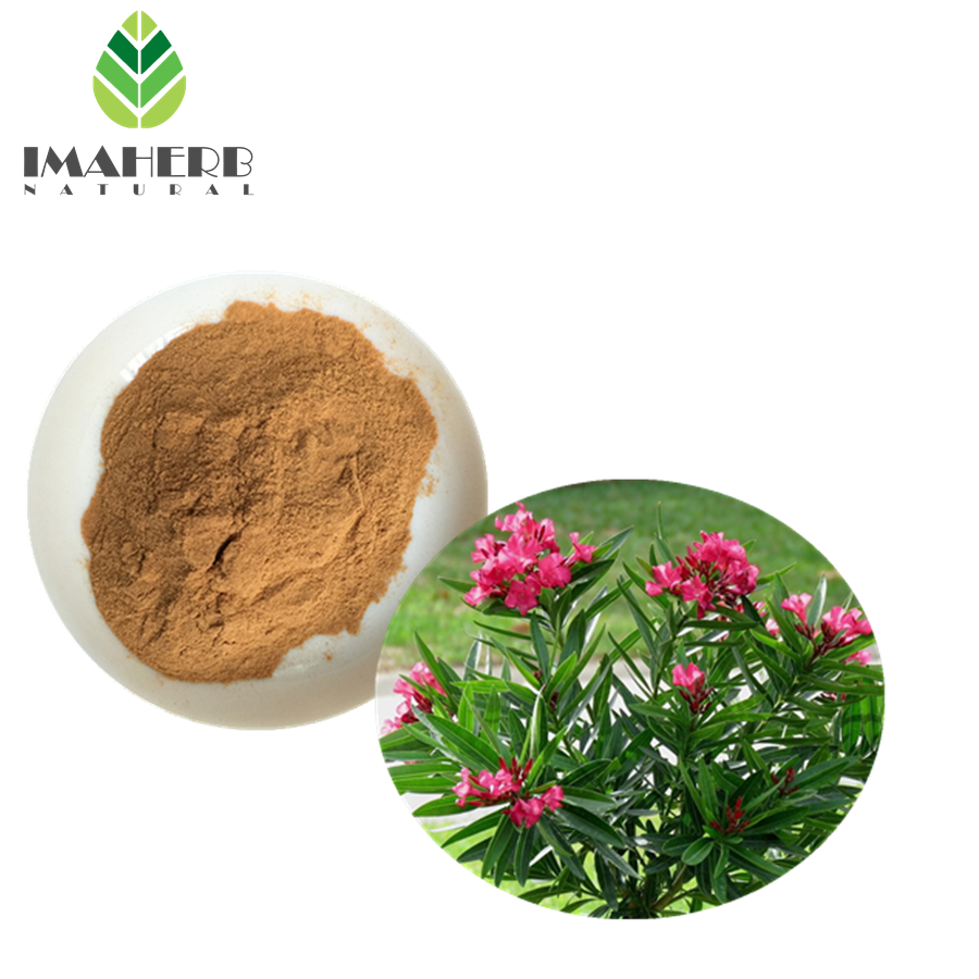 Top Quality Natural Oleander Extract Powder