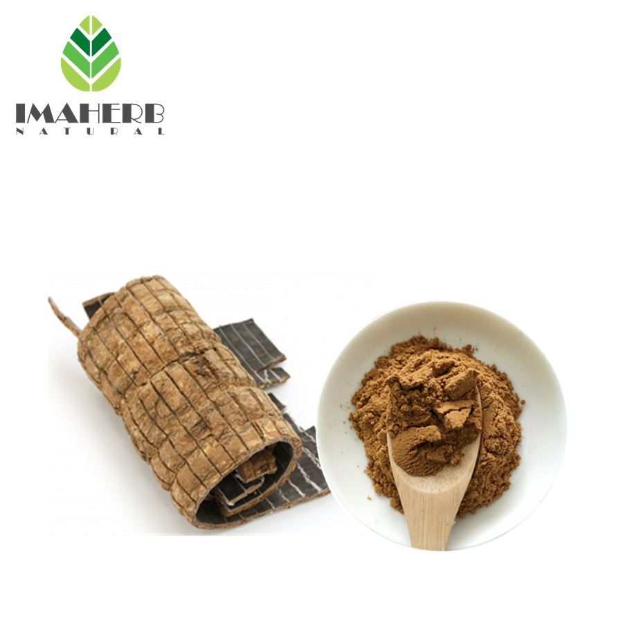 Herbal Extract 100% Natural Eucommia ulmoides extract