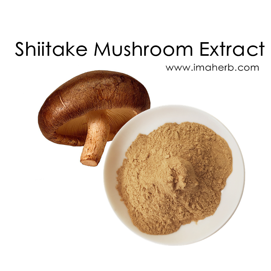 Extrait de champignon Shiitaké biologique AHCC 30% 50% polysaccharides et 20% 80% Gélule de poudre de glucane