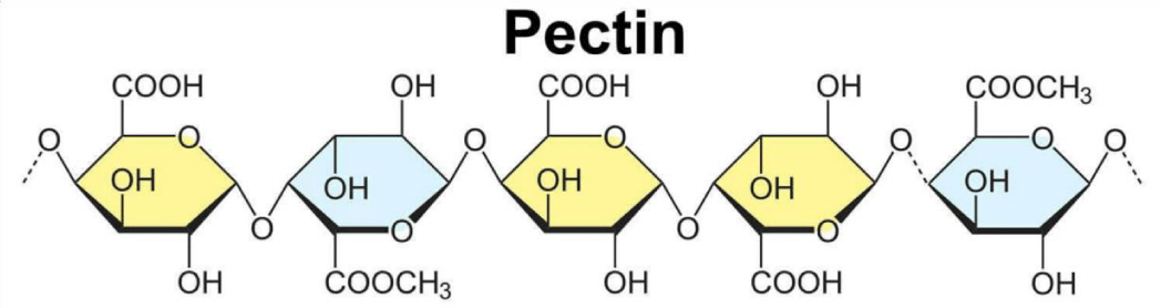 pectinase