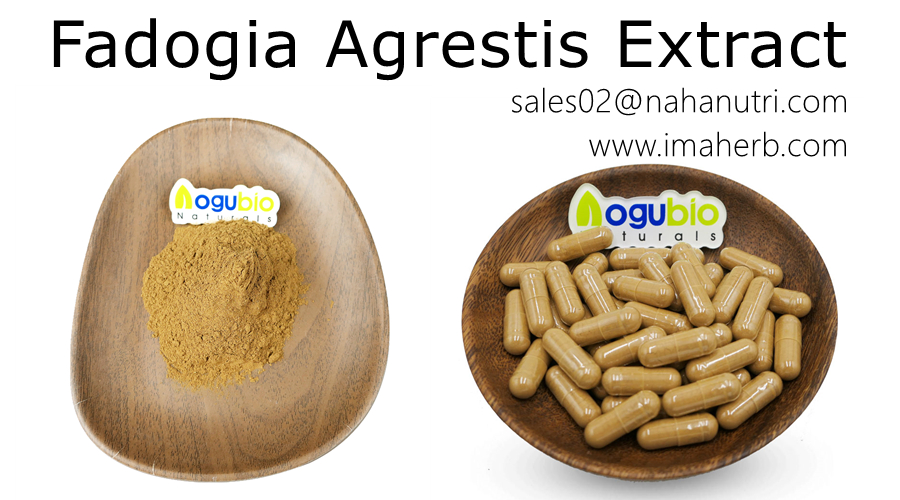 IMAHER OEM Cápsulas Extracto de Fadogia Agrestis P.E. Polvo de extracto de Fadogia Agrestis con etiqueta privada