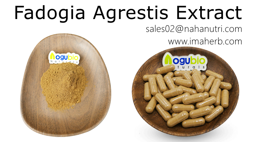 IMAHER OEM Capsules Fadogia Agrestis Extract P.E.. Порошок экстракта Fadogia Agrestis с частной торговой маркой