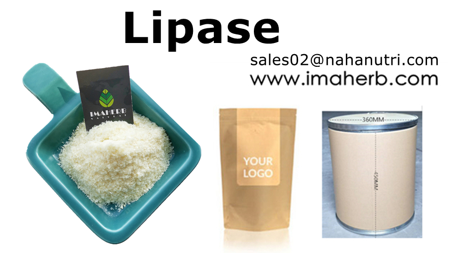 IMAHERB Supply Food Additive Kind Enzyme Activity Price Lipase Powder For Bread