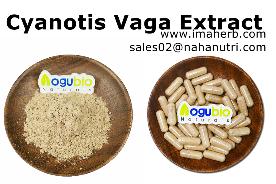 Supplément de nutrition sportive IMAHERB Extrait de Cyanotis Vaga 90% Capsules de poudre de bêta-ecdystérone