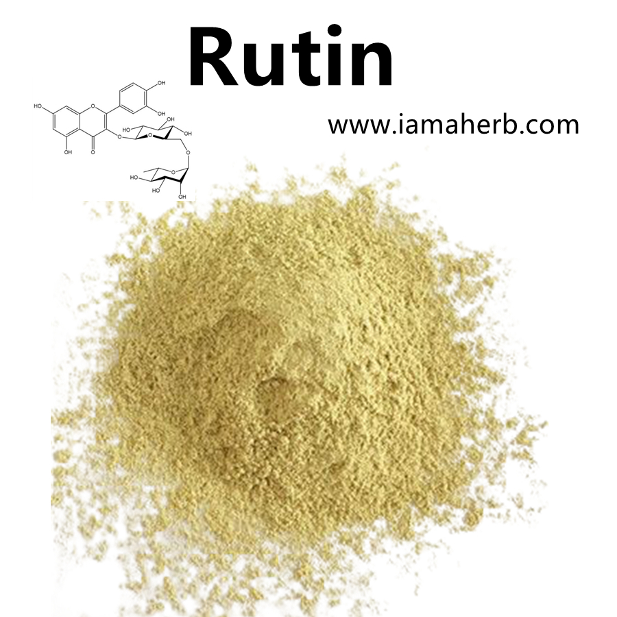 Extracto de Sophora Japonica Rutin-CAS 153-18-4