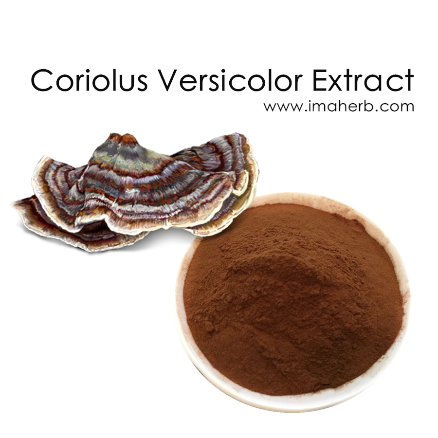 Органический экстракт грибов из хвоста индейки Trametes Versicolor 30% 50% Полисахариды и 20% 30% Глюкановая порошковая капсула