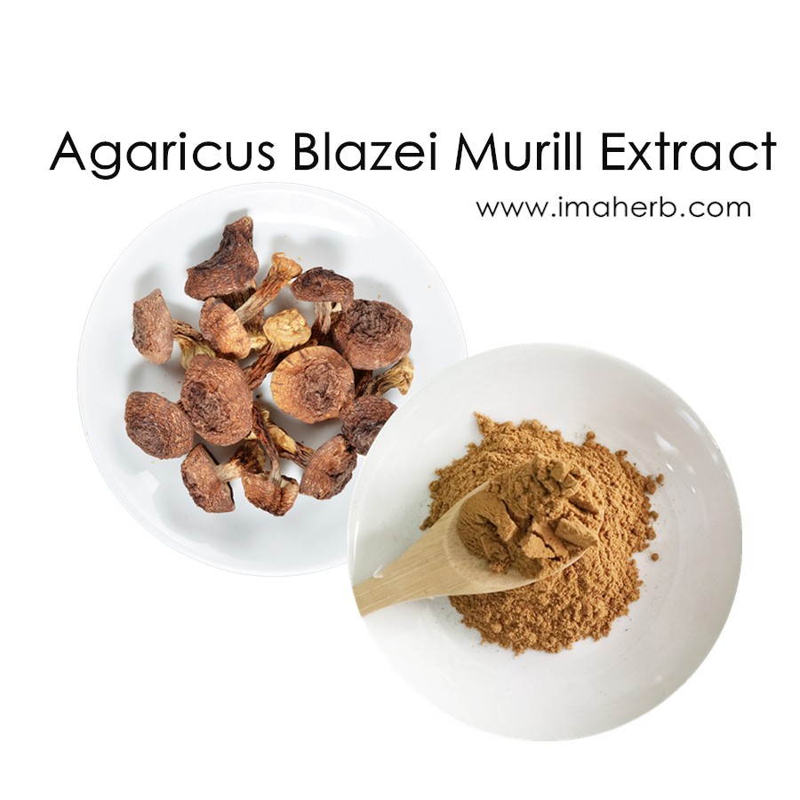 Polvo de extracto orgánico de Agaricus Blazei Murill 30% 50% Polisacáridos y 20% 80% glucano